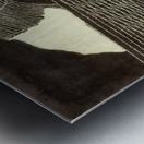 Max Ernst 38 Metal print