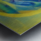 Max Ernst 40 Metal print