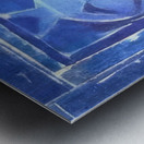 Max Ernst 47 Metal print