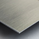 Max Ernst 48 Metal print