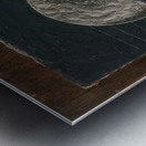 Max Ernst 49 Metal print