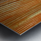 Max Ernst 50 Metal print