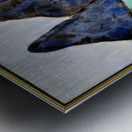 Milton Avery 3 Metal print