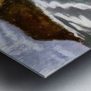 Milton Avery 15 Metal print