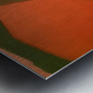 Milton Avery 53 Metal print