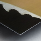 Milton Avery 2 Metal print