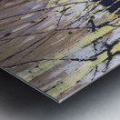 Tom Thomson 5 Metal print