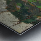 Tom Thomson 6 Metal print