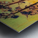 Tom Thomson 18 Metal print