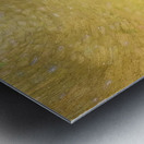 Tom Thomson 19 Metal print