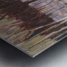 Tom Thomson 21 Metal print