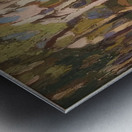 Tom Thomson 30 Metal print