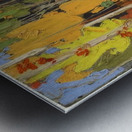 Tom Thomson 31 Metal print