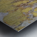 Tom Thomson 40 Metal print