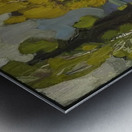 Tom Thomson 44 Metal print