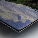 Tom Thomson 48 Metal print