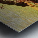 Tom Thomson 51 Metal print