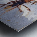 Tom Thomson 53 Metal print