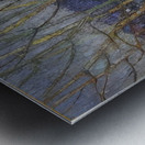 Tom Thomson 55 Metal print