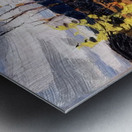 Tom Thomson 56 Metal print