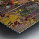 Tom Thomson 59 Metal print