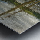 Tom Thomson 60 Metal print