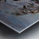 Tom Thomson 62 Metal print