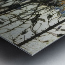 Tom Thomson 65 Metal print