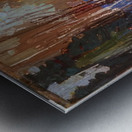 Tom Thomson 70 Metal print