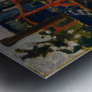 Tom Thomson 5 Metal print