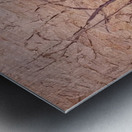 Tom Thomson 10 Metal print