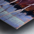 Tom Thomson 17 Metal print