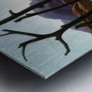 Tom Thomson 24 Metal print