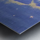 Tom Thomson 26 Metal print