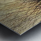 Auguste Herbin 19 Metal print