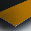 Robert Motherwell 24 Metal print