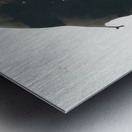 Robert Motherwell 7 Metal print