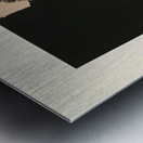 Robert Motherwell 24 Metal print