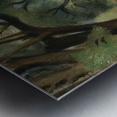 André Derain 1 Metal print