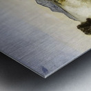 André Derain 30 Metal print