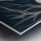 André Derain 42 Metal print