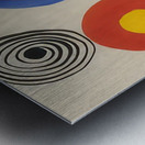 Alexander Calder 60 Metal print