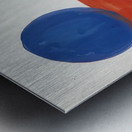 Alexander Calder 25 Metal print