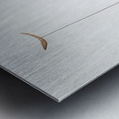 Alexander Calder 6 Metal print