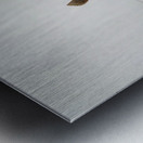 Alexander Calder 13 Metal print