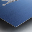 Alexander Calder 8 Metal print