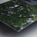 Alexander Calder 27 Metal print