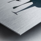 Alexander Calder 34 Metal print