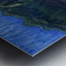 Emily Carr 4 Metal print