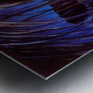 Emily Carr 8 Metal print